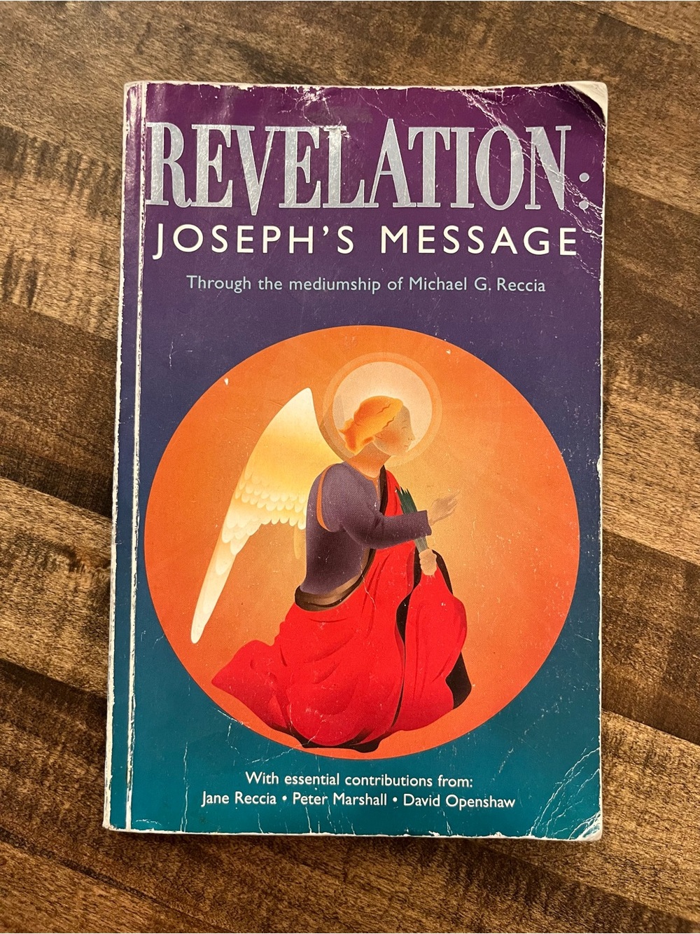 Revelation: Joseph's Message - Michael Reccia